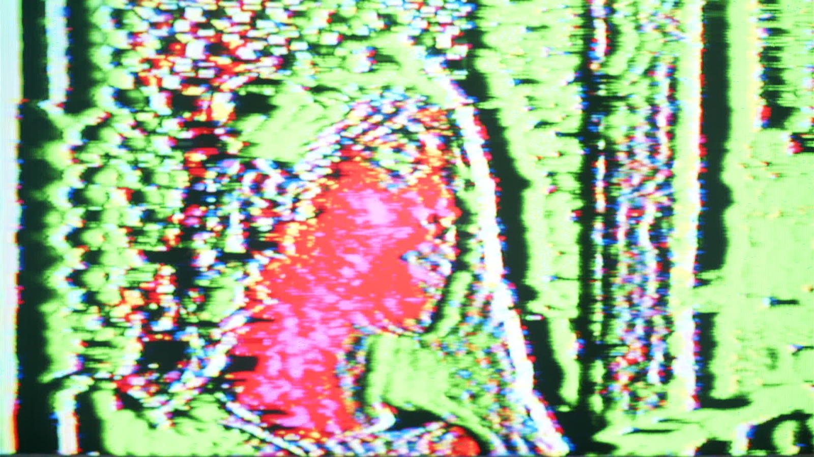 Portrait dissolved into hot magenta and red against acid green, chroma-shear scanlines
