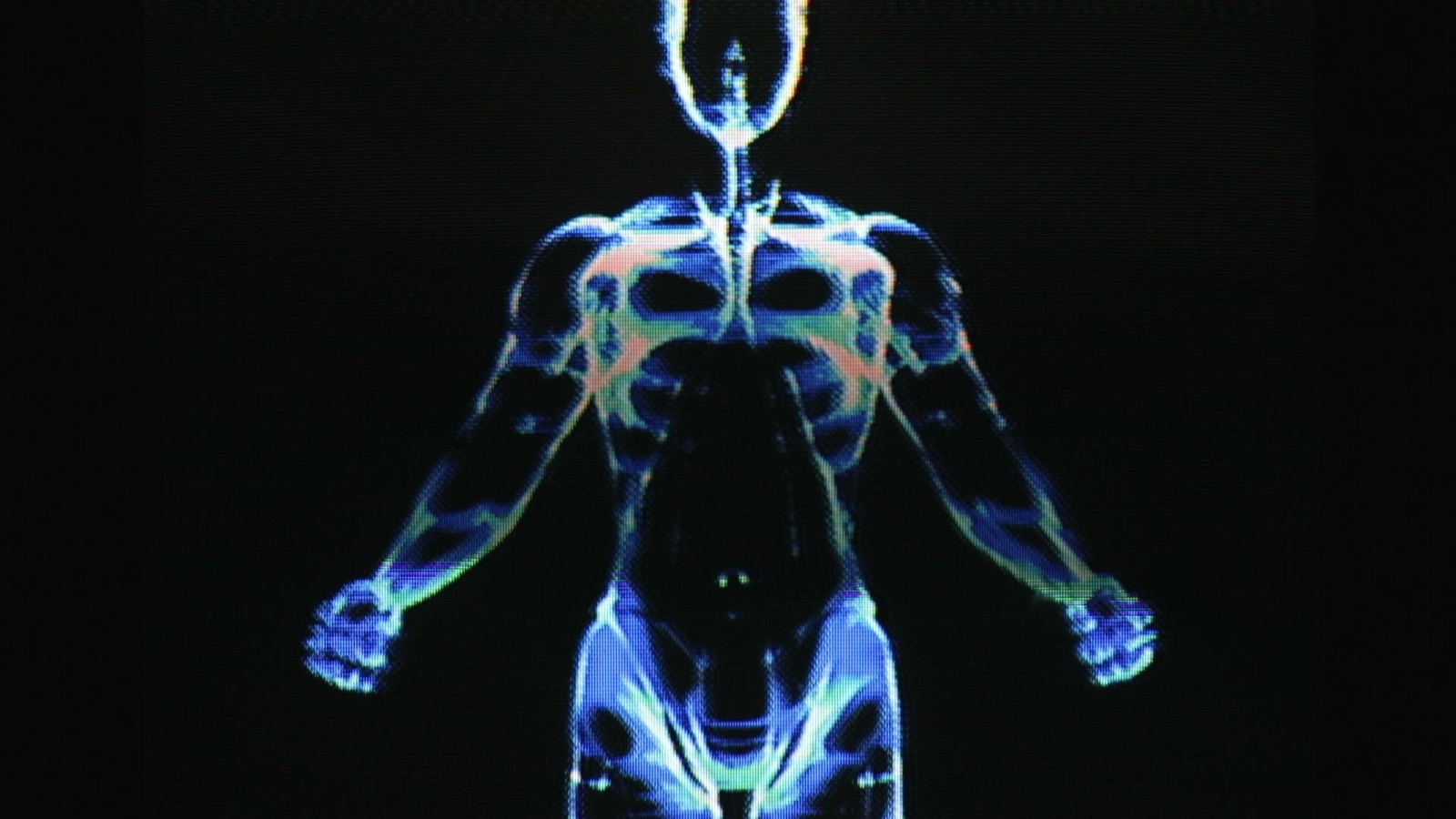 Translucent blue anatomical figure glowing on a black CRT screen